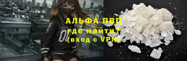 индика Дмитровск