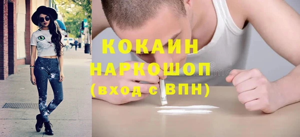 индика Дмитровск
