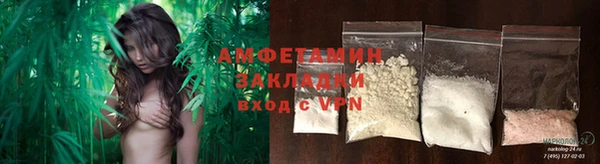индика Дмитровск