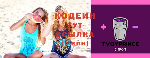 индика Дмитровск
