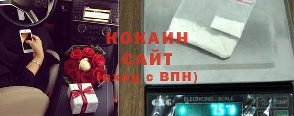 индика Дмитровск