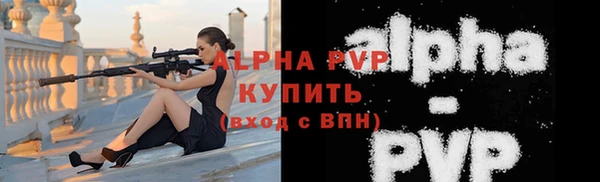прущие крисы Ельня