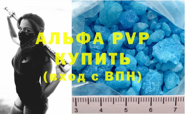 индика Дмитровск