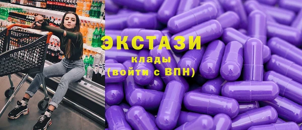 индика Дмитровск