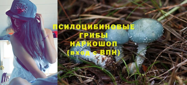 тгк Няндома