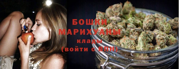 спайс Нягань