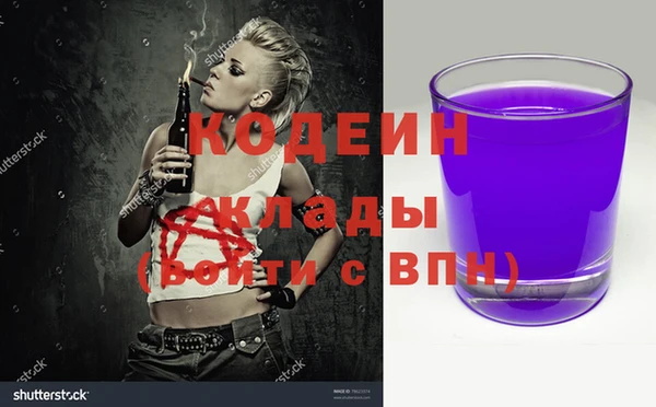 индика Дмитровск