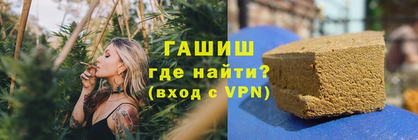 индика Дмитровск