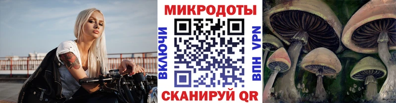 Галлюциногенные грибы GOLDEN TEACHER  хочу наркоту  Сегежа 