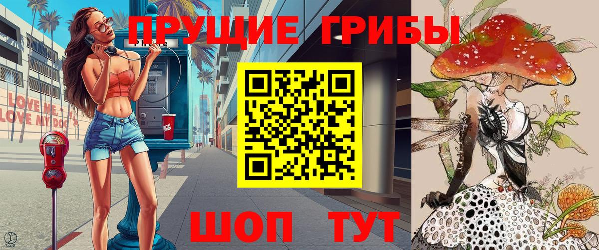 Псилоцибиновые грибы Cubensis Сегежа