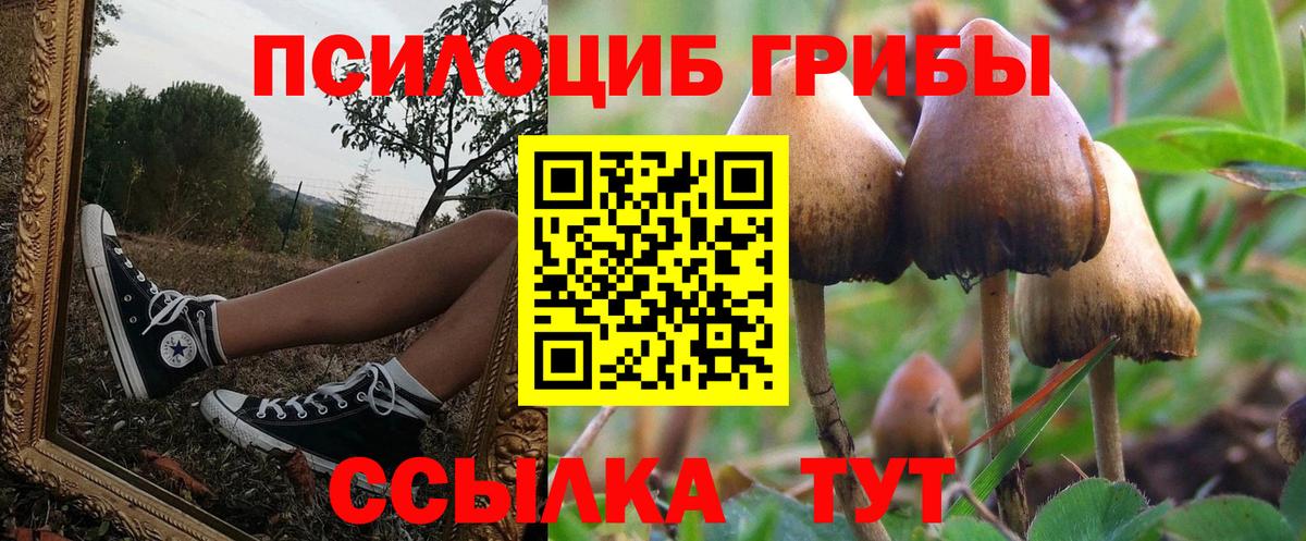 Галлюциногенные грибы мицелий  Вход с VPN  Сегежа  Галлюциногенные грибы мухоморы 